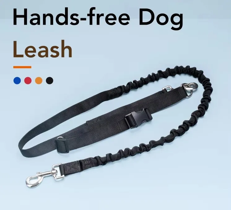 Hands-Free Pet Leash 1