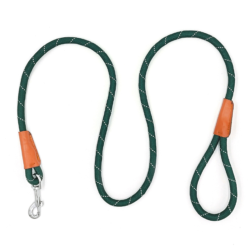 Stylish Lightweight Retractable Pet Leash for Pet Training