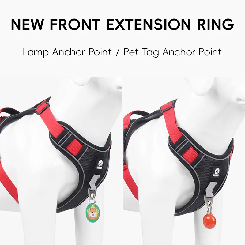 Dog Harness Detail 4