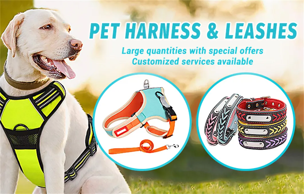 Pet Nylon Product Adjustable for Dog Training Collar