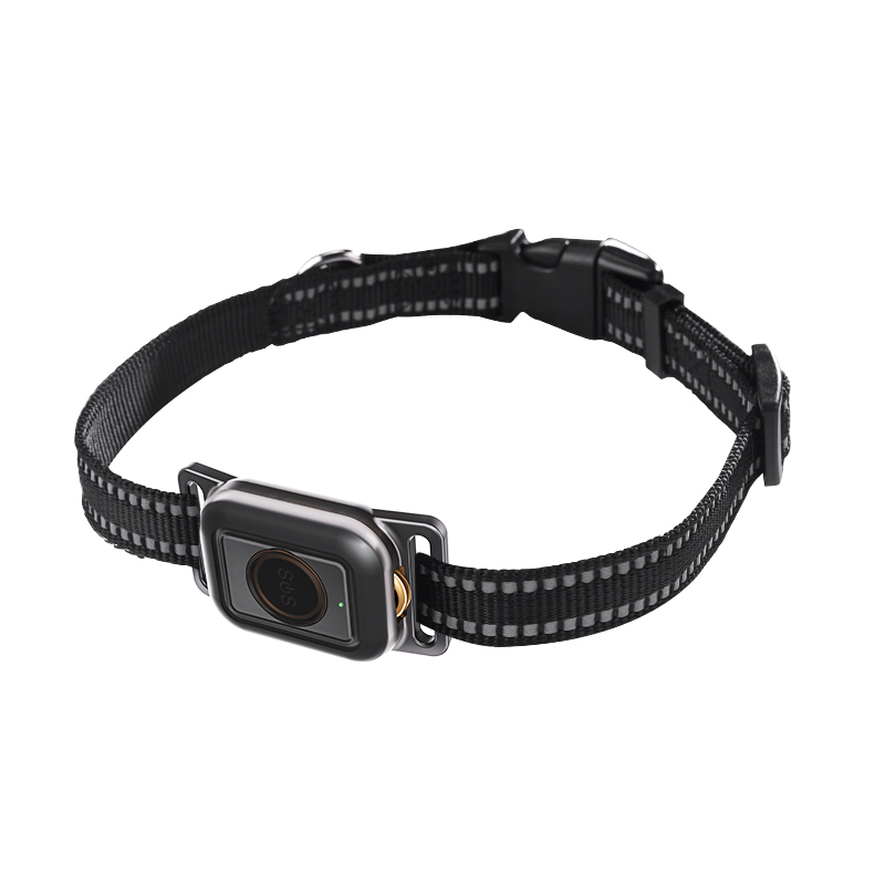 4G Waterproof IP67 Animal mini Pets GPS Tracker with collar for Puppies Safety Y41