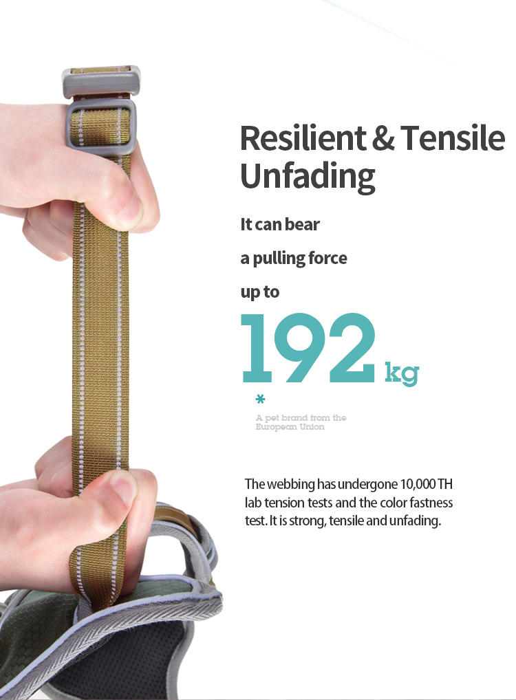 China Wholesale Factory Custom Logo Retractable Reflecttive Pet Dog Training Leads Premium Rope Collar Polyester/Nylon Hook Dog Leash