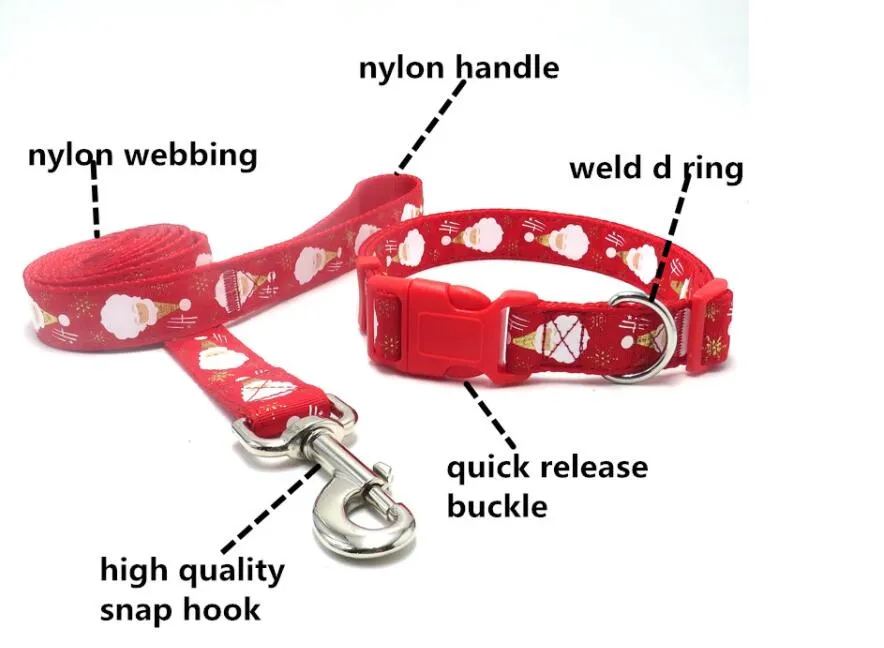 Plastic Release Buckle Info