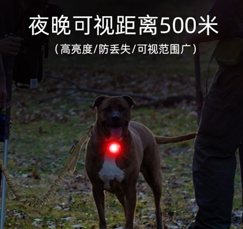 Pet Collar Light Anti-Lost in Night Dog Waterproof LED Lamp
