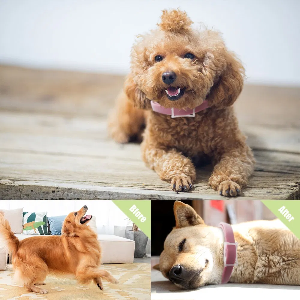 Wholesale Dog Pheromone Calming Collar Composure &amp; Relaxation for Everyday Stress