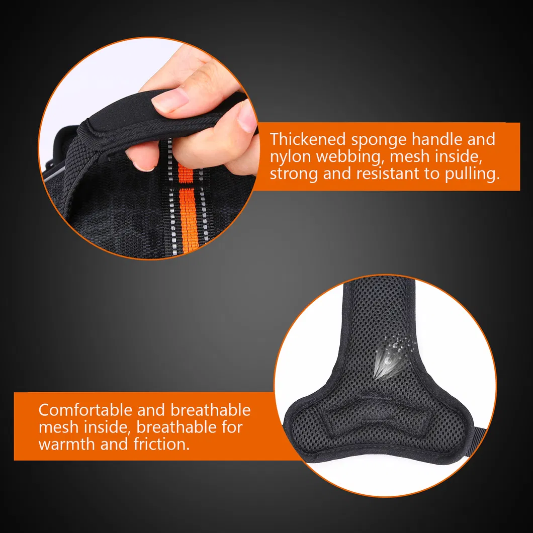 Dog Harness Detail 5