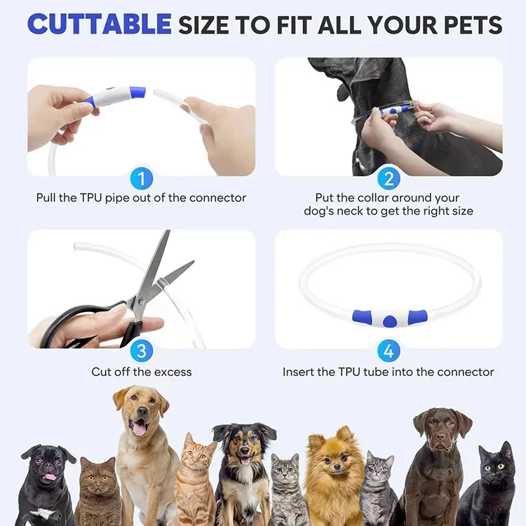 LED Collar Usage