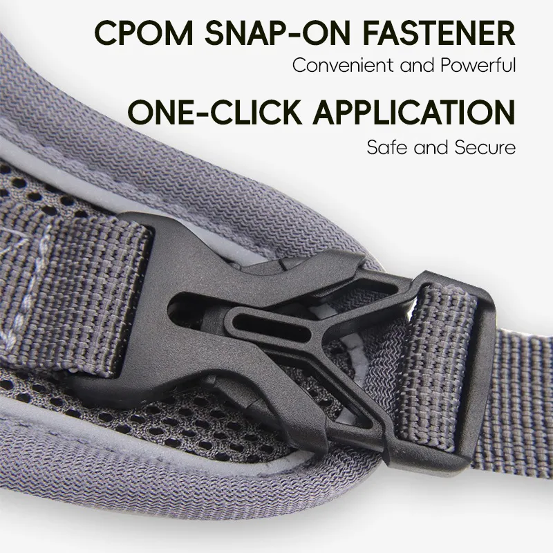 Pet Harness Breathable Mesh