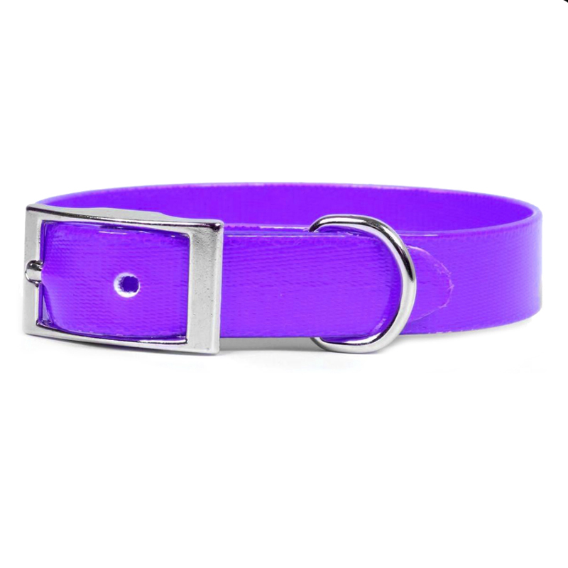 Reflective Water Proof Pet Collar with Pin Buckle
