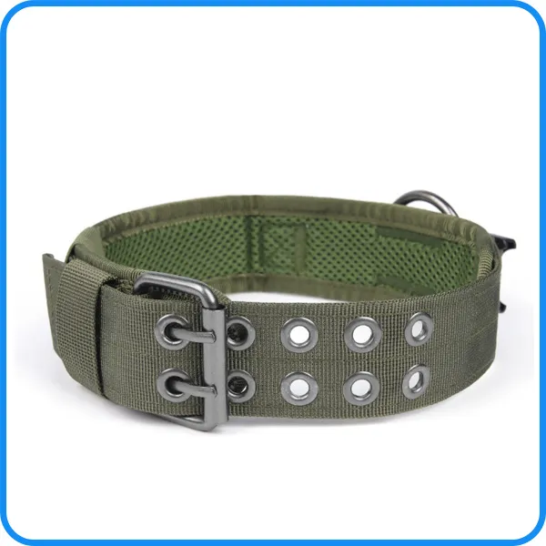 Dog Training Collar