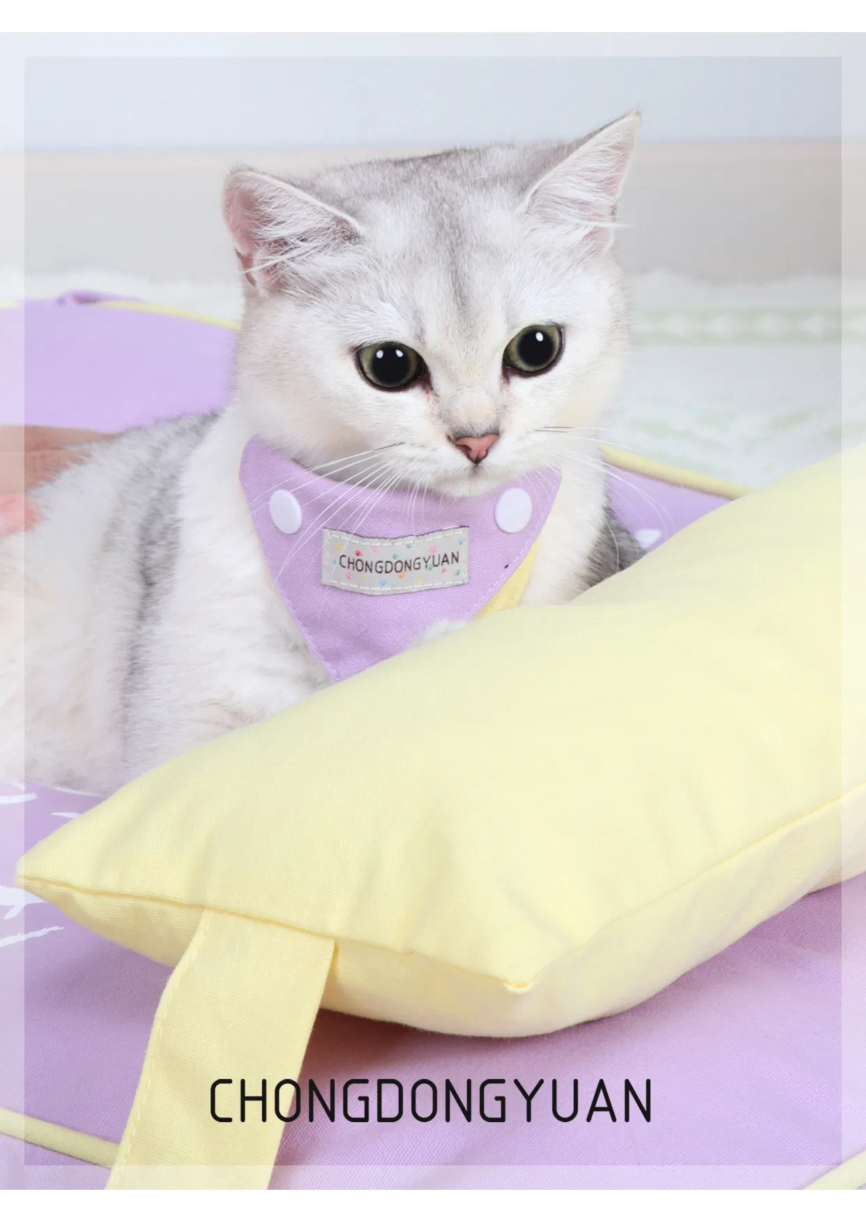 Pet Collar Scarf 4