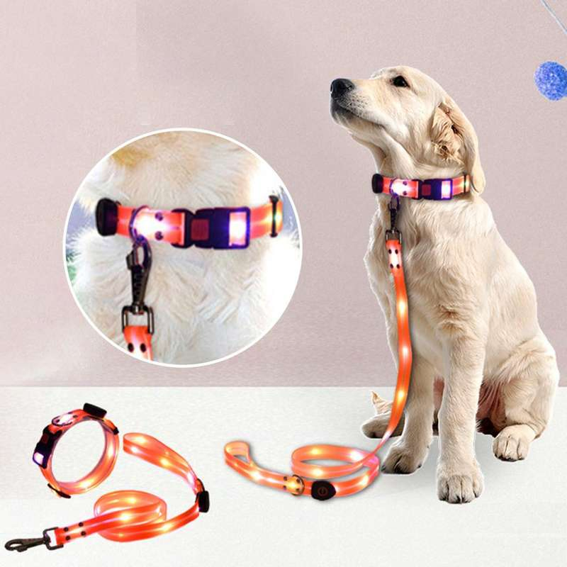 Hot Sale LED Pet Collar Rechargeable Collar for Dogs Night Safety