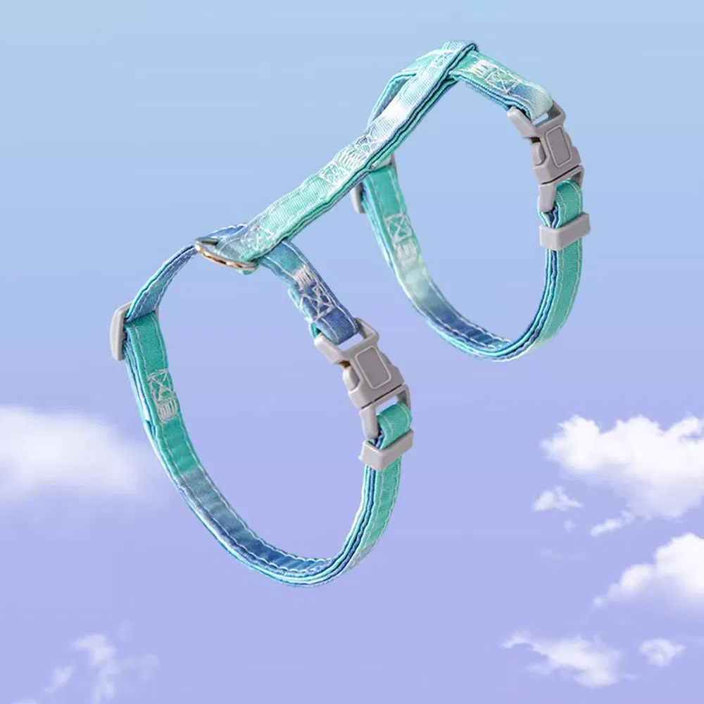 Comfort Fit Pet Collar and Leash Kit with Reflective Stride