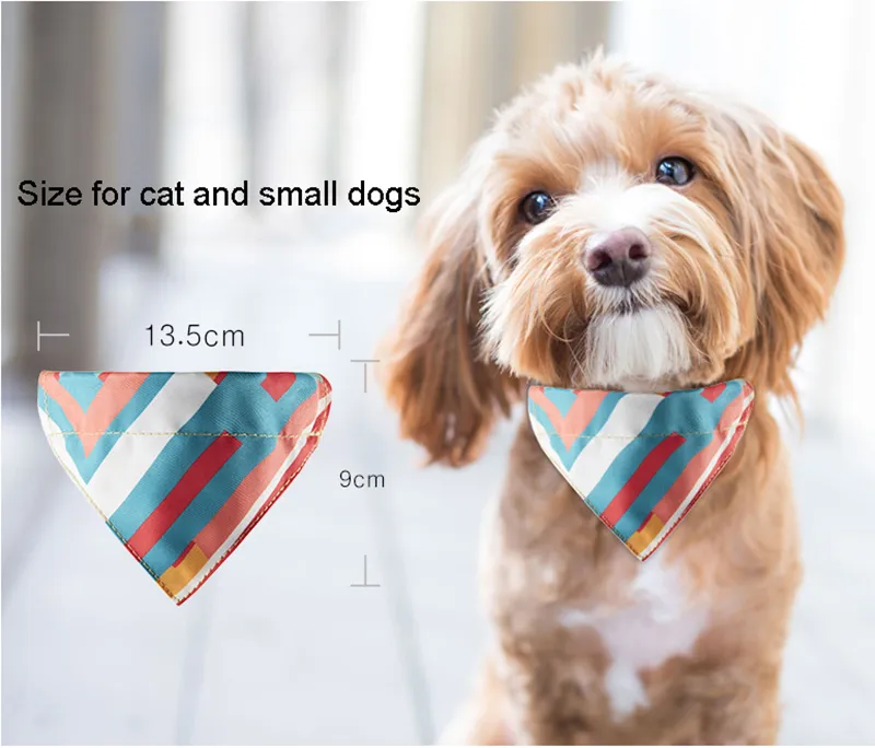 Pet Accessory Display