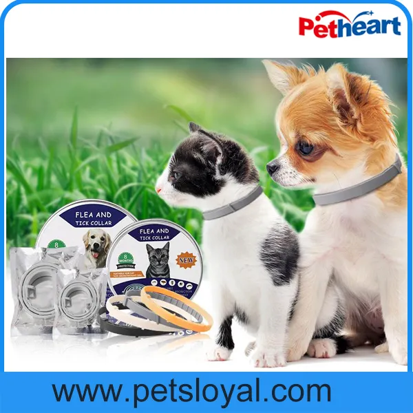 Pet Collar Photo 6