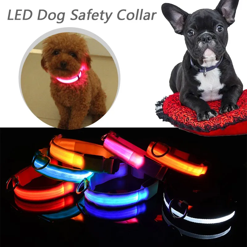 LED Dog Collar View 11