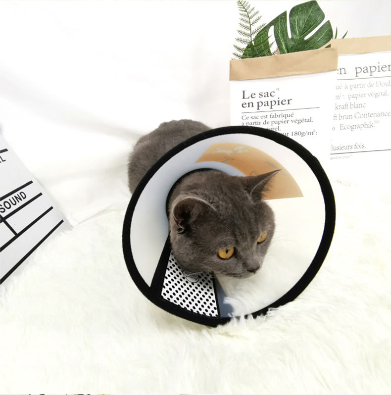 Elizabethan Factory's Sustainable Leather Pet Dog Cat Training Collar