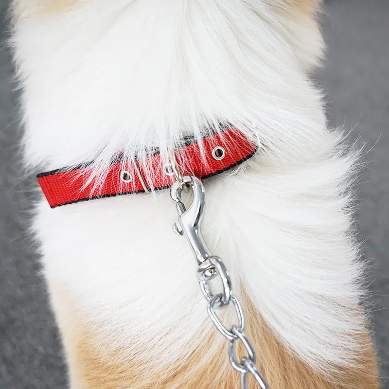 Dog Collar Detail 5