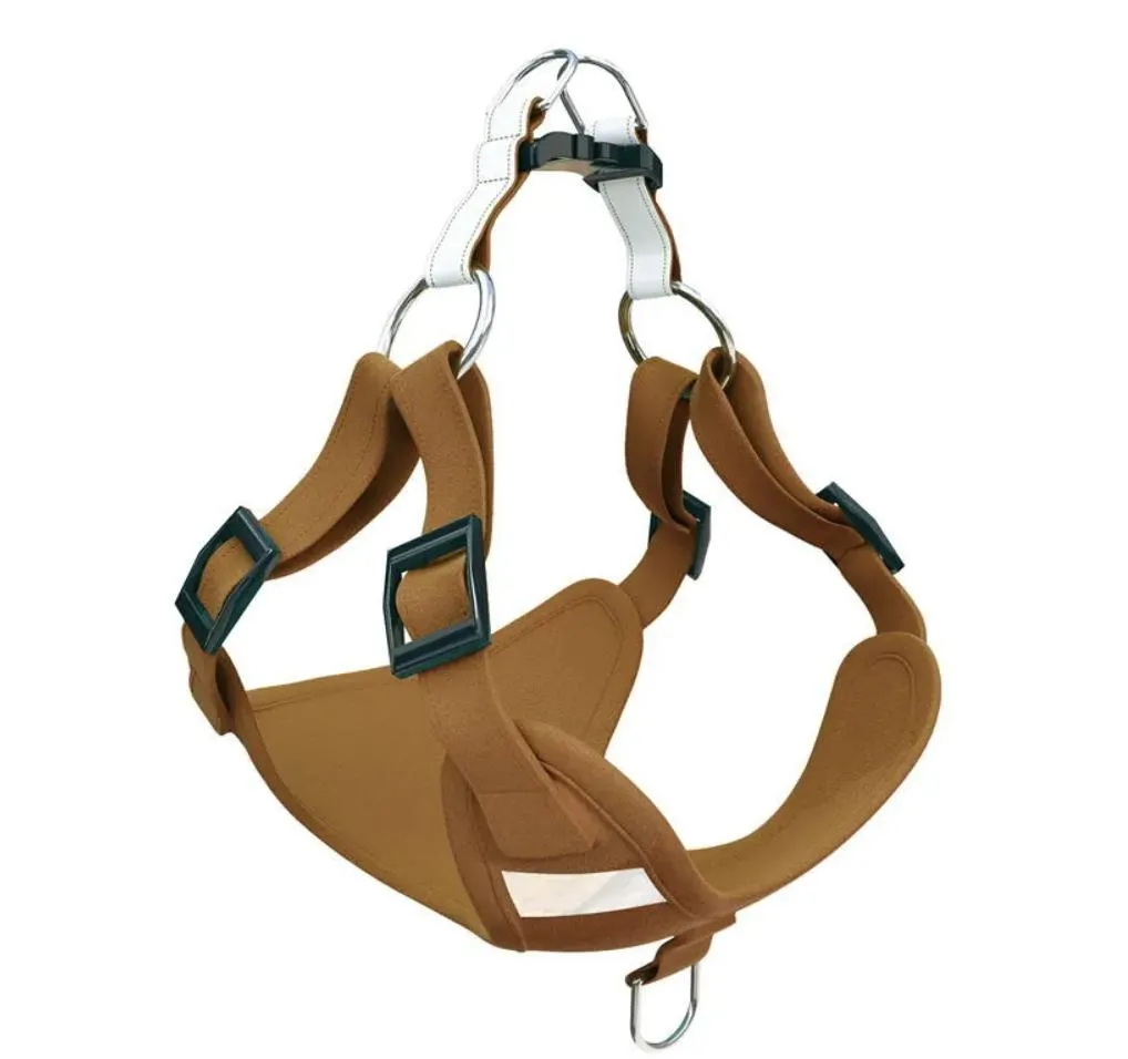 Pet Harness Showcase 5