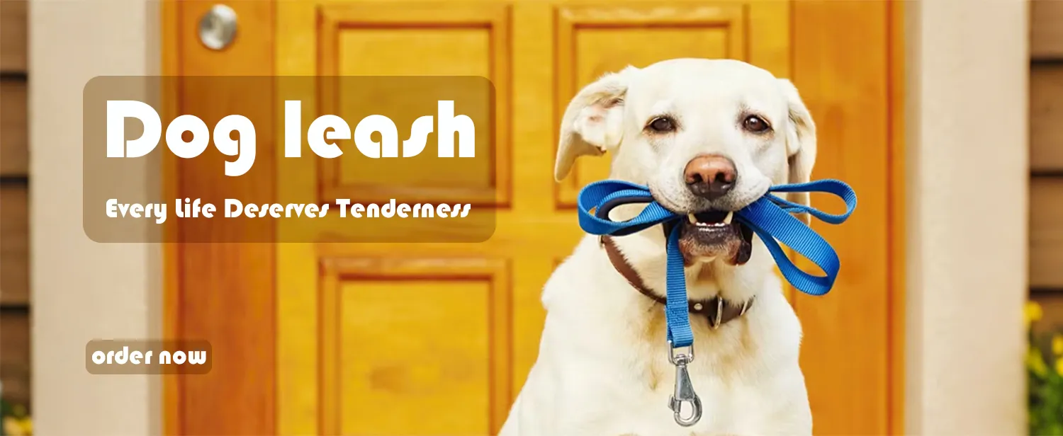 Dog Leash Specification