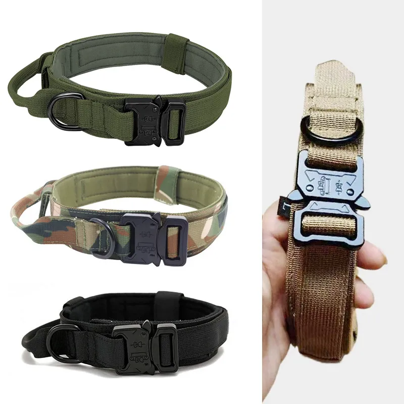 Quick Release Nylon Pet Collar
