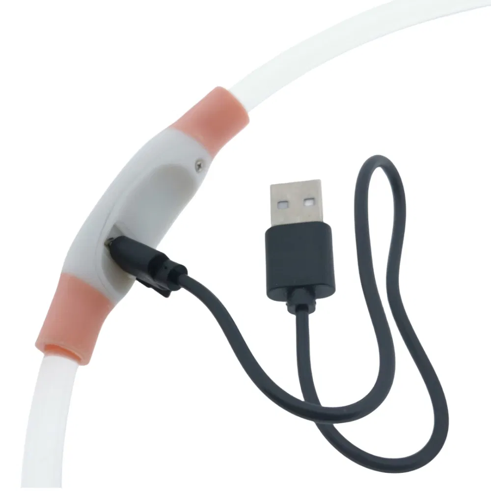 Pet Products Walks Dog Safety LED USB Rechargeable Dog Collars