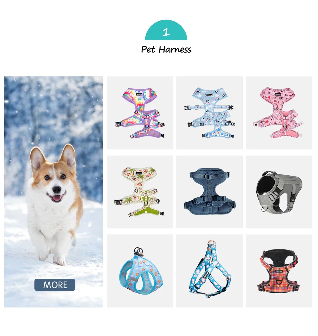 Related Dog Accessories 1