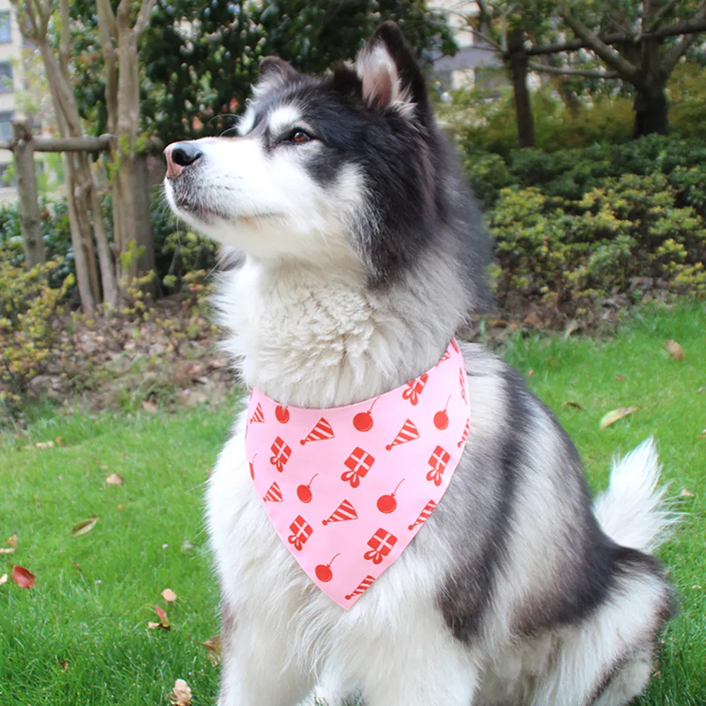 Pet Bandana Pattern