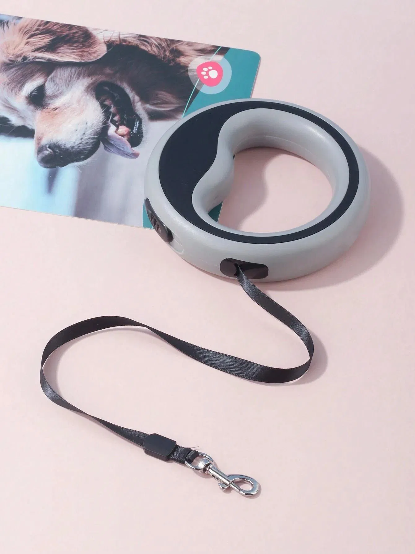 Retractable Hands-Free Dog Leash Nylon Pet Walking Lead Automatic Extension Cat Pet Accessories