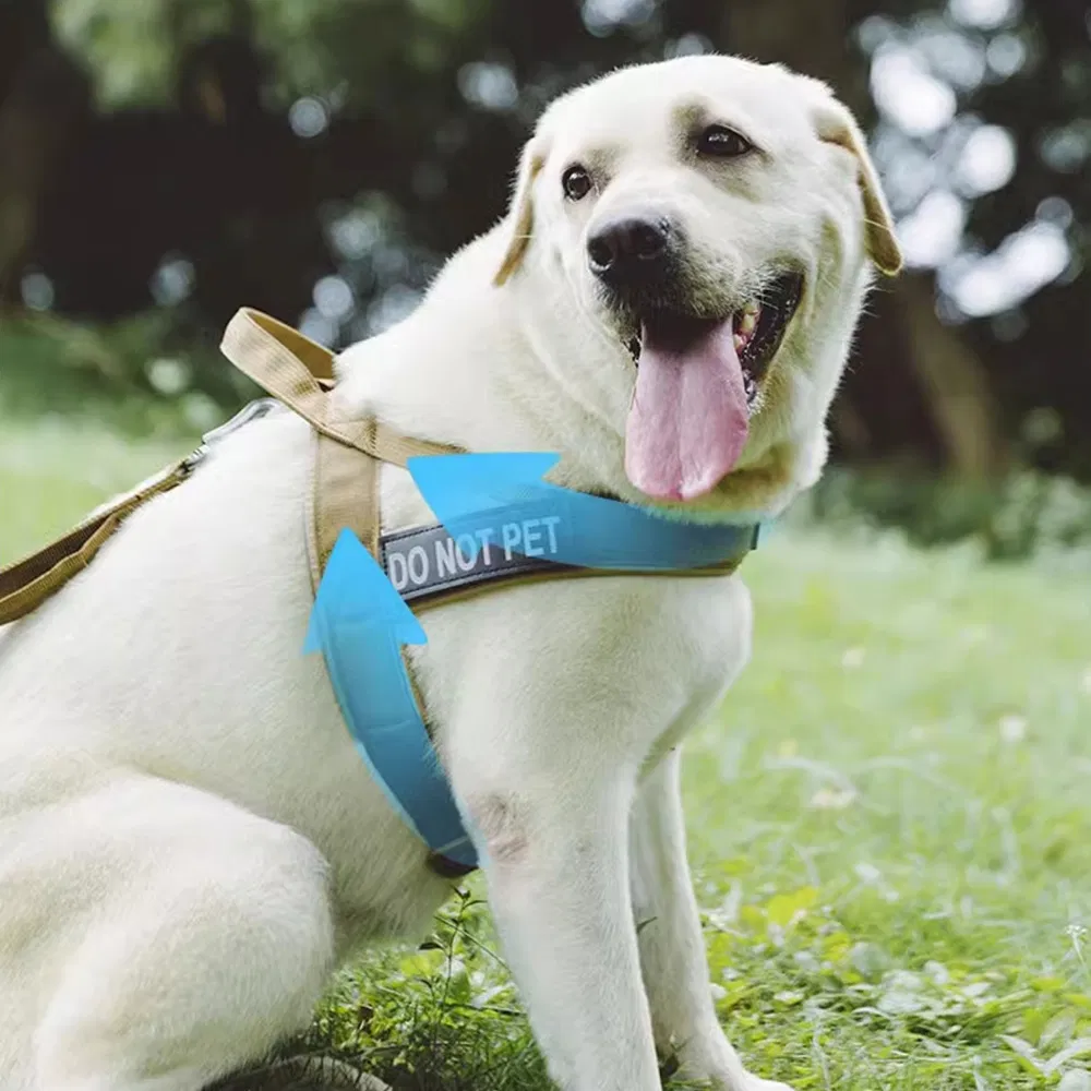 Pet Supplies Walking Travel Small Pet Dog Cat Harness and Leash Nylon Adjustable Cat Harness