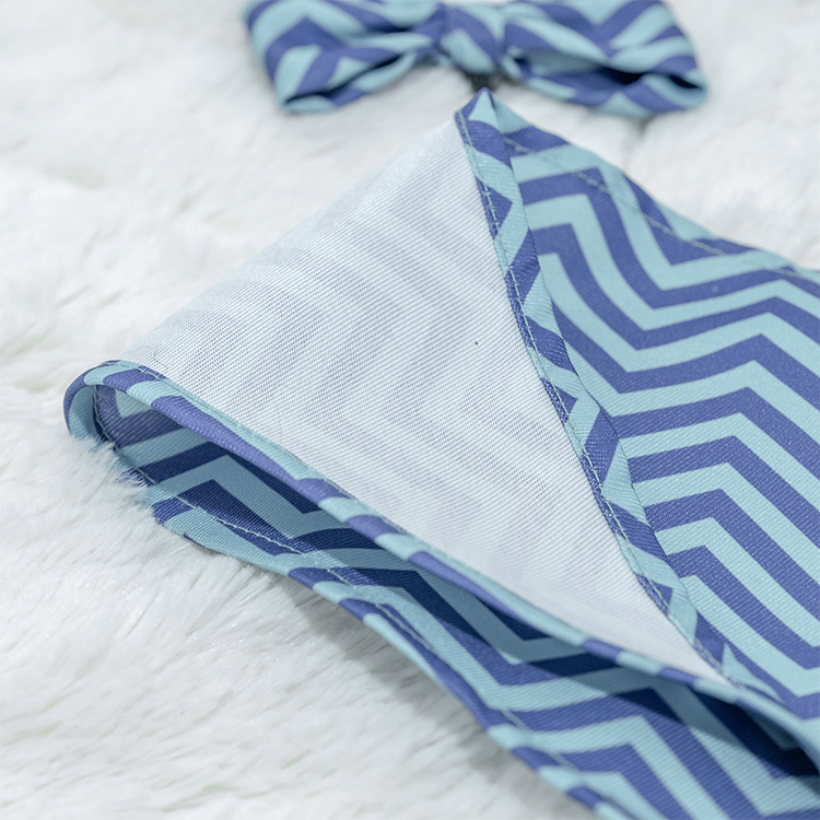 Rena Pet Birthday Sets Three Styles Blue Color Funny Hat Bandana Bow Tie for Pet