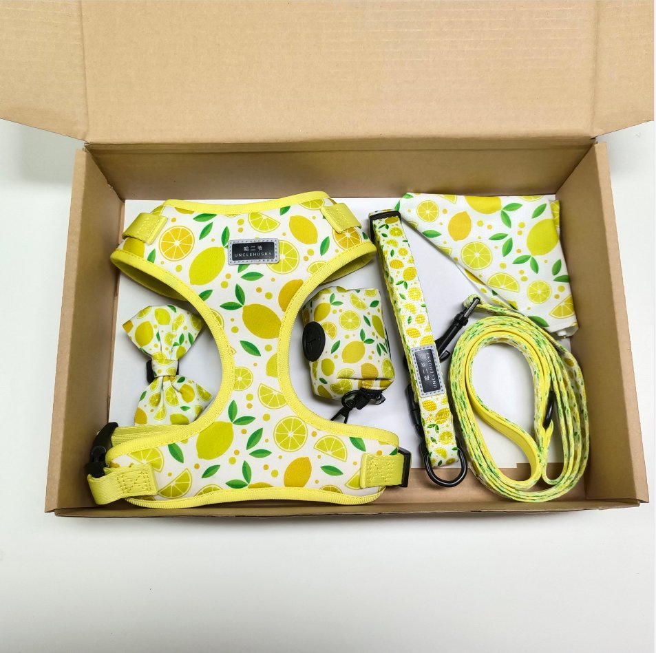 Luxury Custom Dog Collar Leash Neck Adjustable Breathable Multi-Design Pet Dog Harness Pet Backpack Harness