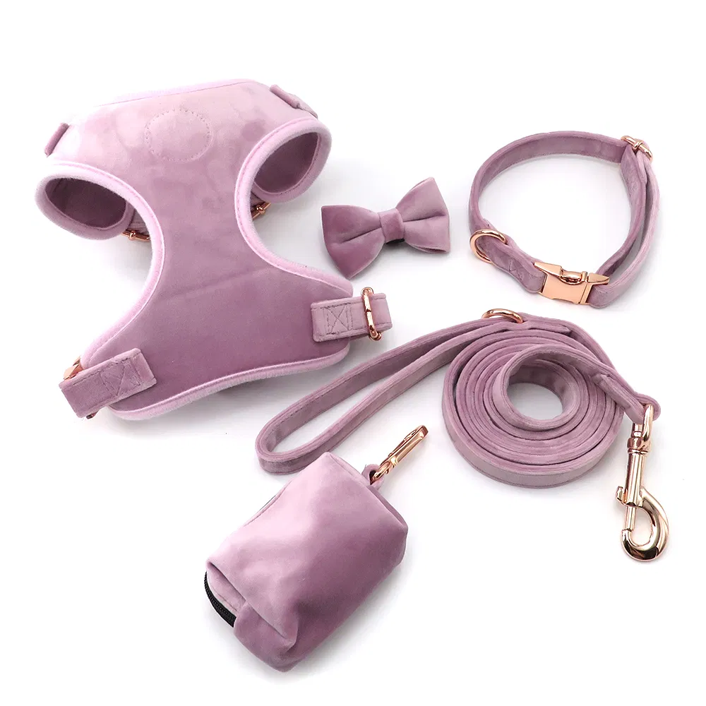 Velvet Dog Collar 6