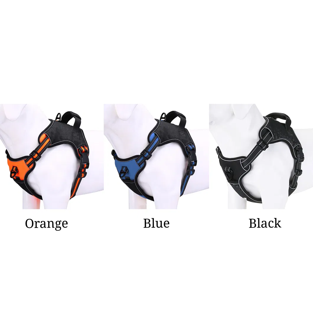 Dog Harness Detail 2