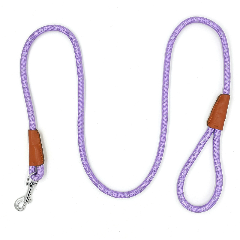 Stylish Lightweight Retractable Pet Leash for Pet Training