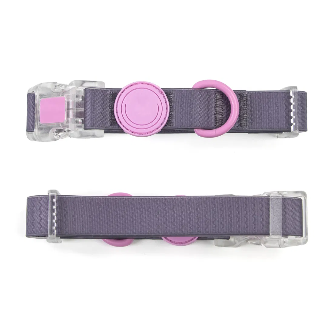 Personalized Dog Collar