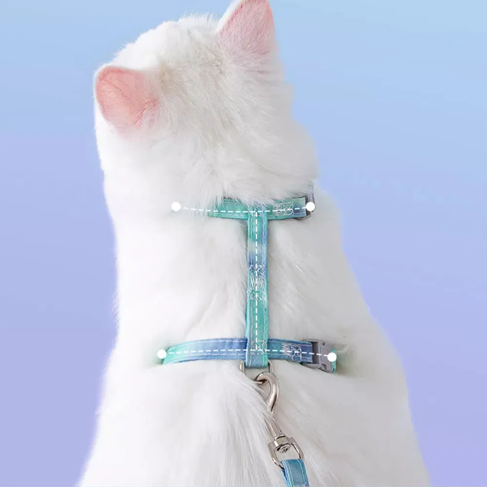 Comfort Fit Pet Collar and Leash Kit with Reflective Stride