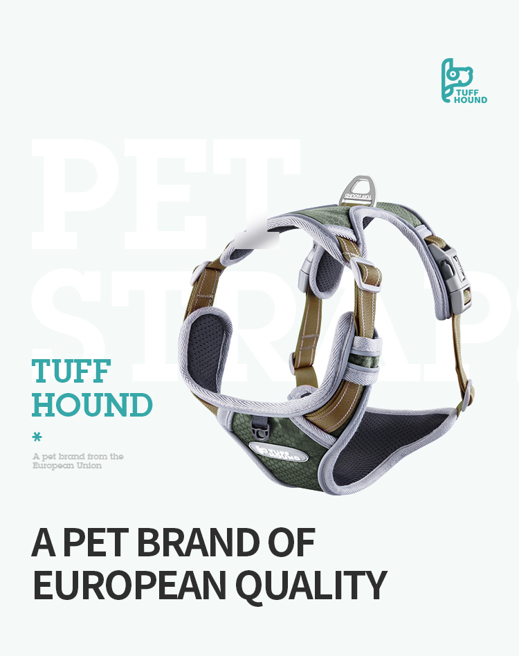 China Wholesale Factory Custom Logo Retractable Reflecttive Pet Dog Training Leads Premium Rope Collar Polyester/Nylon Hook Dog Leash