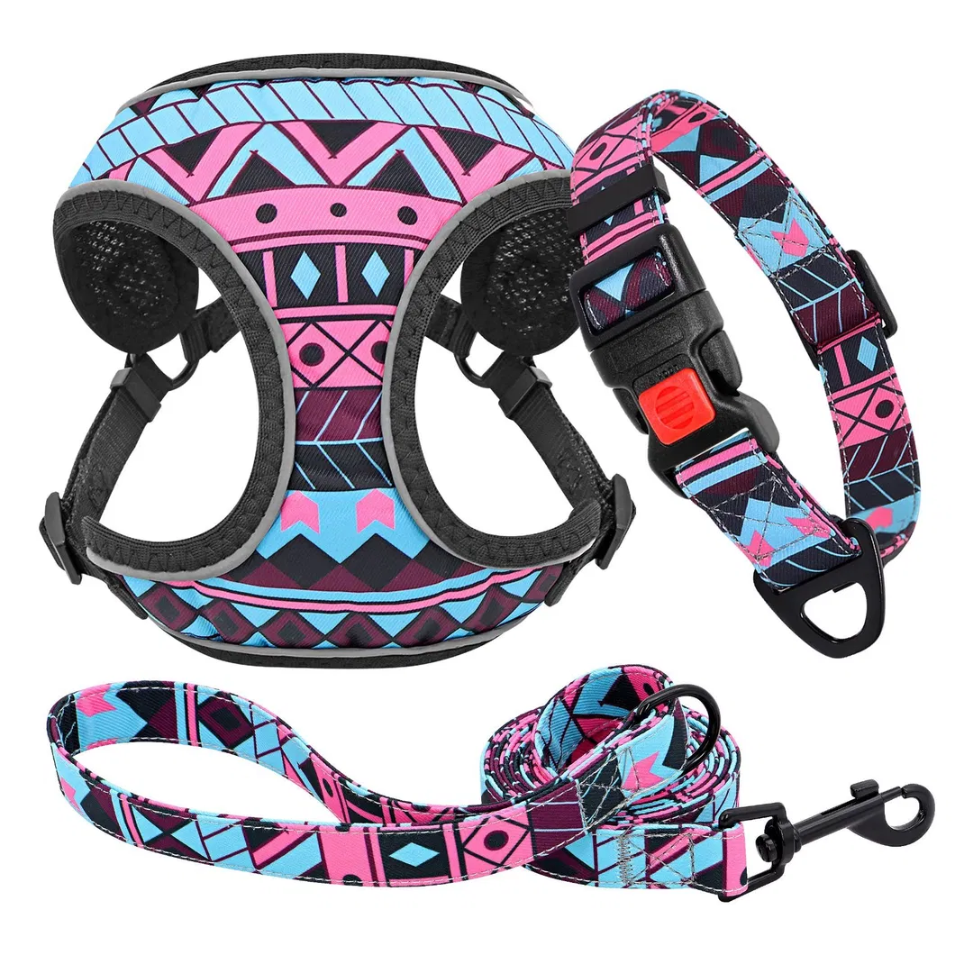 Harness Buckle Detail