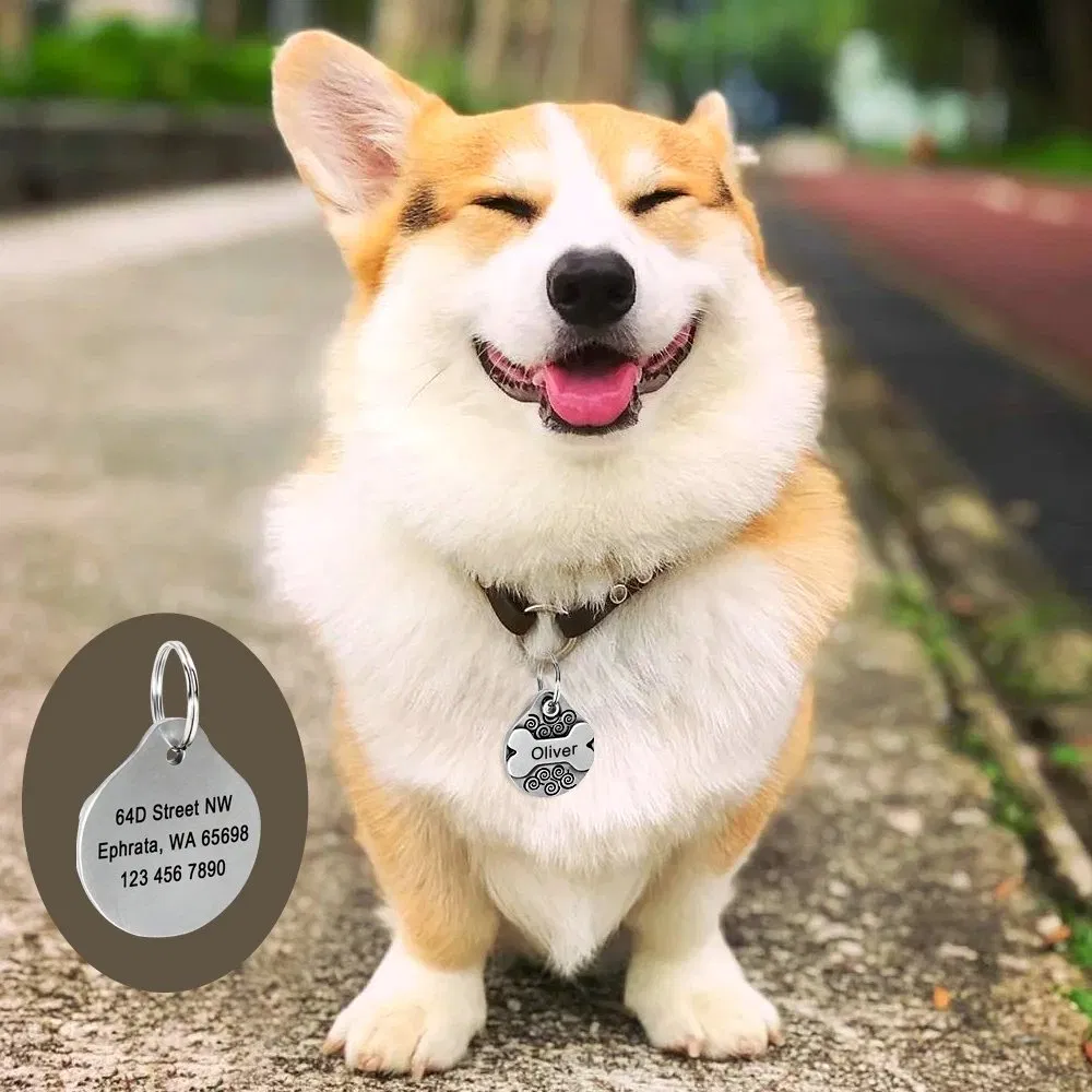 Personalized Dog Tag Free Engraving Dogs ID Tags Nameplate Dog Plate Anti-Lost Pet Accessories Dog Tag for Collar Necklace