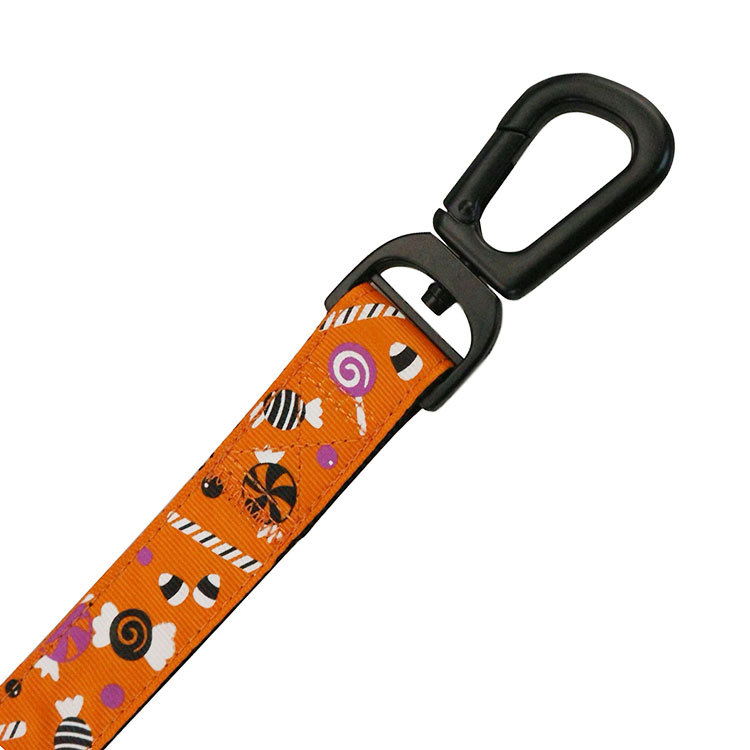 High Quality Heavy Duty Metal Buckle Charms Pet Dog Collar and Leash