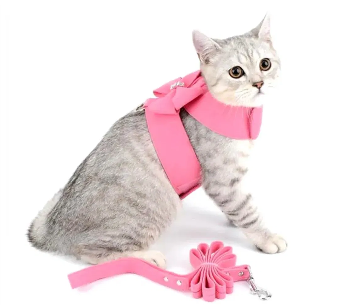 Customized Dog Pet Harness Backpack Cute Smart Reflective Reversible Dog Harness