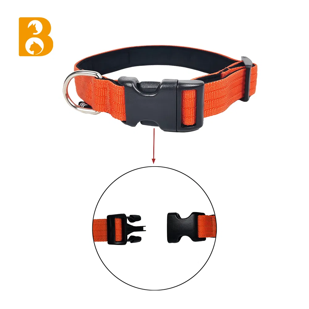 Fashion Ins Matching Nylon Dog Collar with Leash for training Travel Walking Pet Dog Collar Leads