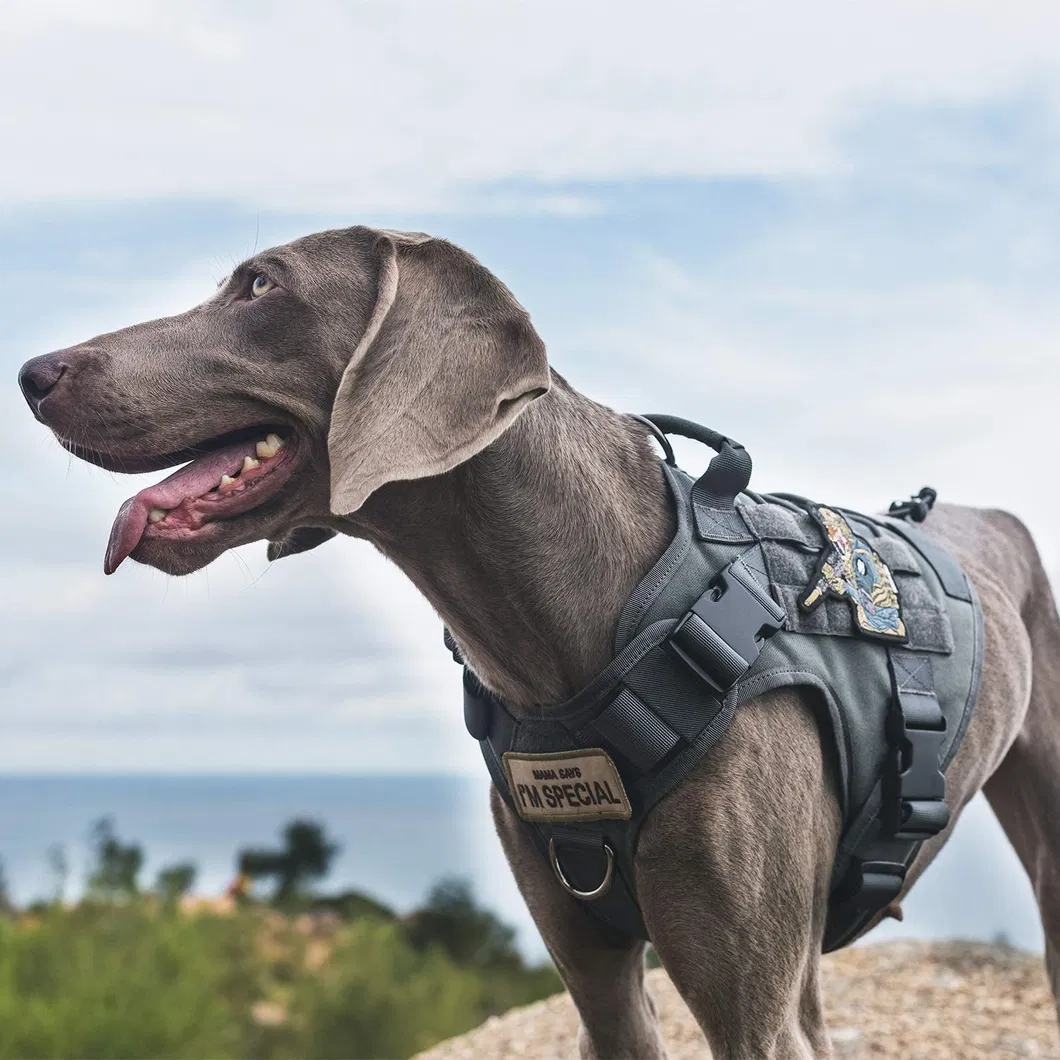 Tactical Pet Vest
