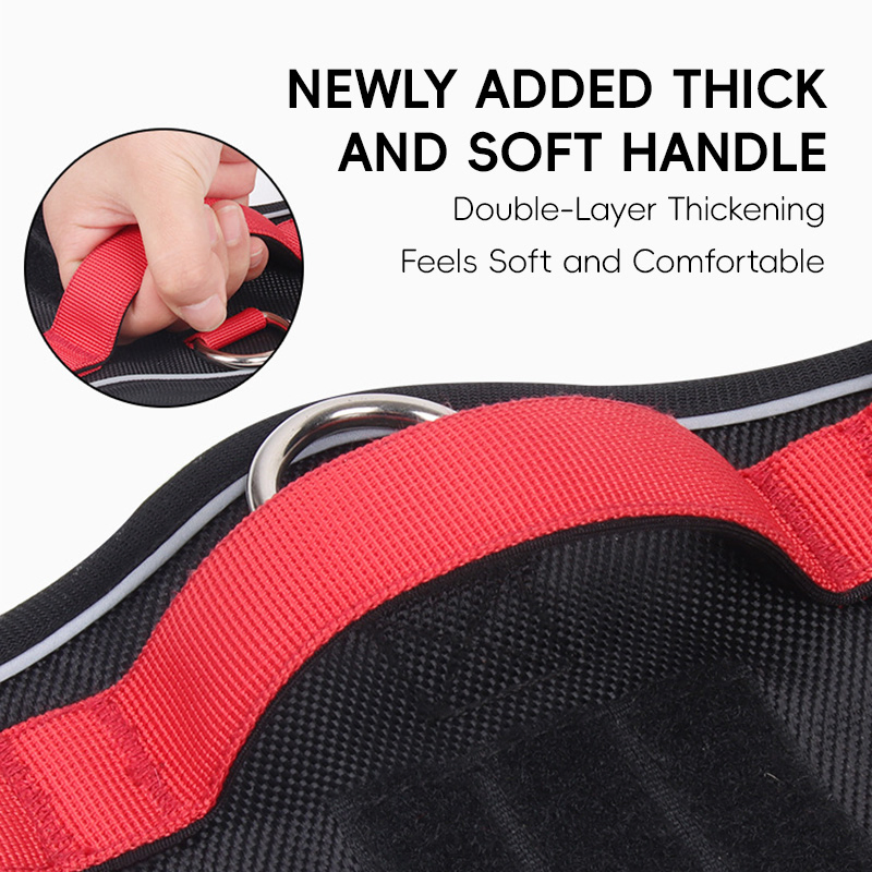 Durable Big Dog Chest and Back Strap for Outdoor Adventures