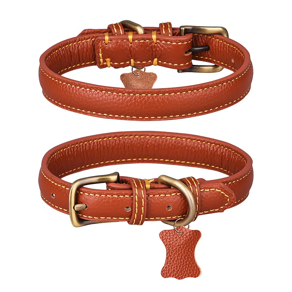 Training Collar Detail 6