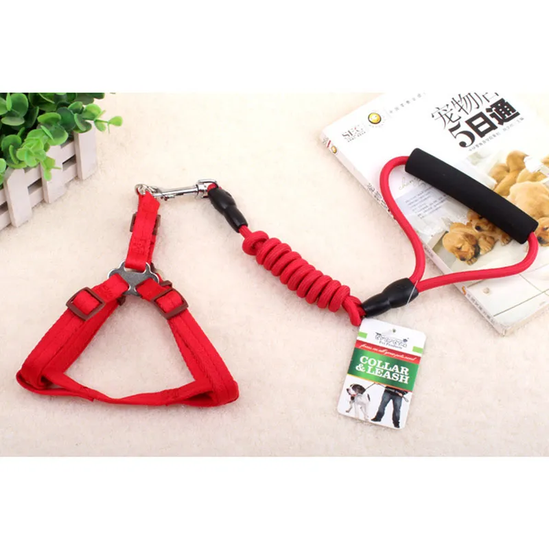 Pet Collar Leash 2