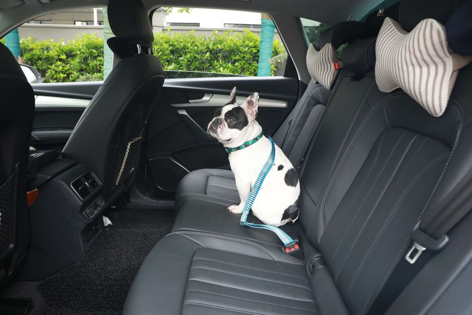 Adjustable Pet Seat Belt for Vehicle Nylon Pet Safety Seat Belts Heavy Duty Car Seat Belt for Pets