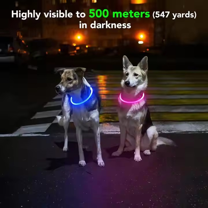 Custom USB Charging Pet Safety Light Silicone Waterproof LED Dog Collar (CFPTS24001)