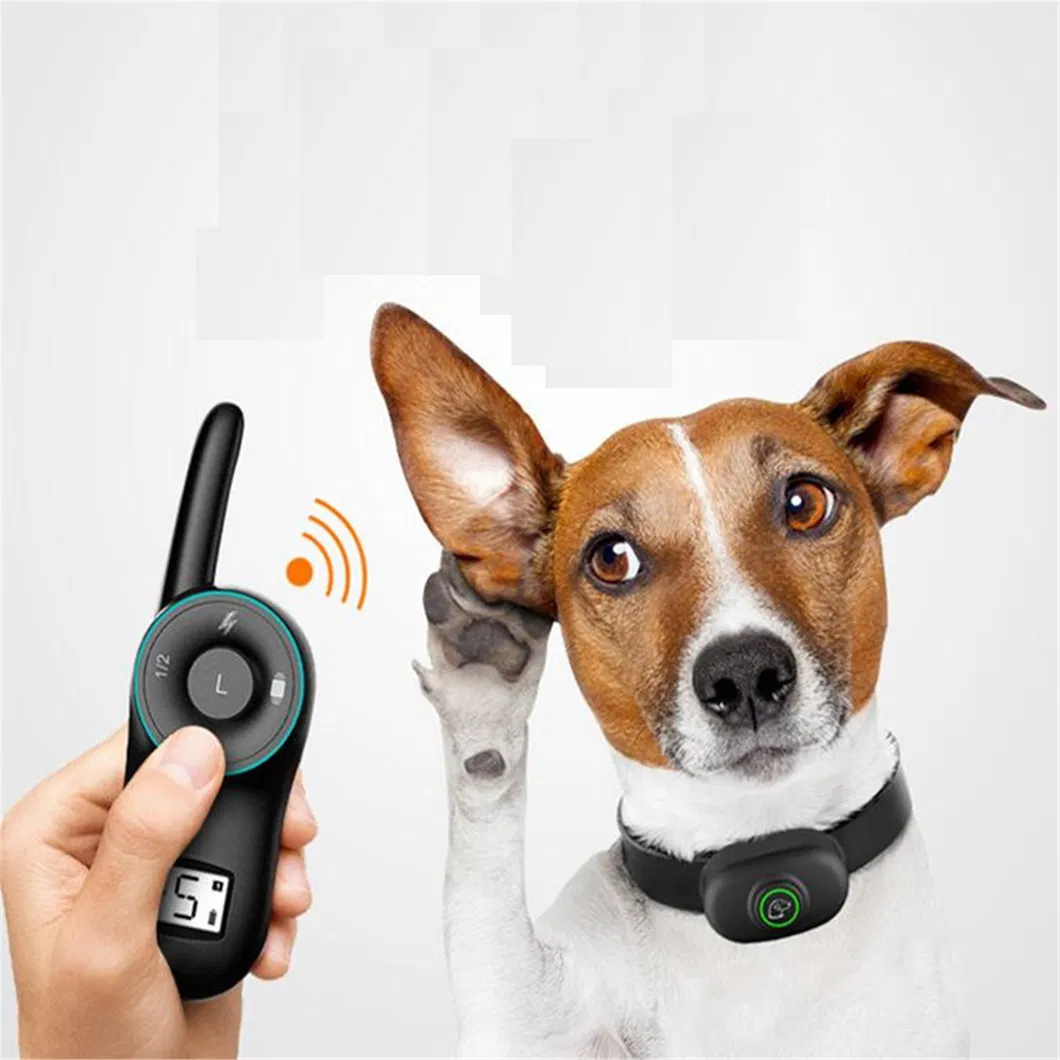 Dog Training Collar 7